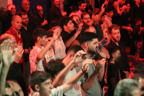 تصاویر/ مراسم شب شهادت امام رضا علیه السلام در شاهین دژ