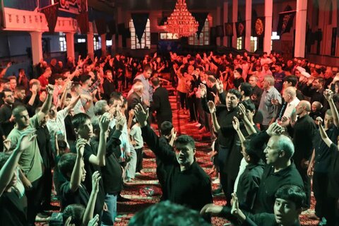 تصاویر/ مراسم شب شهادت امام رضا علیه السلام در شاهین دژ