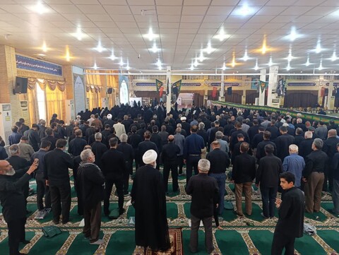 تصاویر/ اجتماع امام رضایی ها در بوشهر