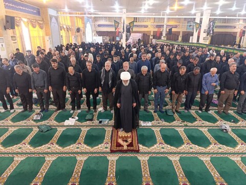 تصاویر/ اجتماع امام رضایی ها در بوشهر