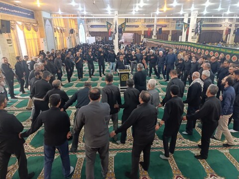 تصاویر/ اجتماع امام رضایی ها در بوشهر