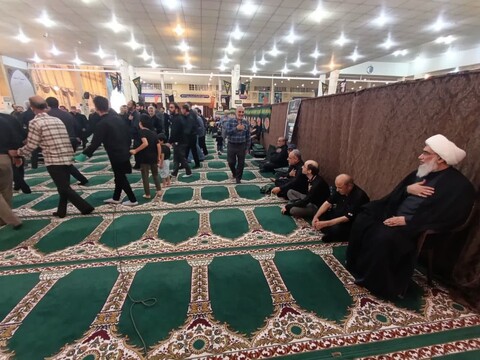 تصاویر/ اجتماع امام رضایی ها در بوشهر