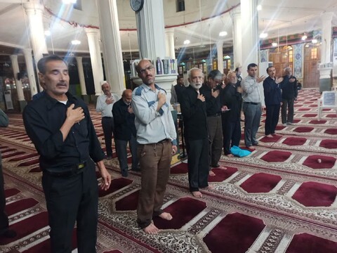 تصاویر/ سوگواری مردم برازجان در سالروز شهادت امام رضا(ع)