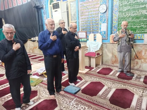 تصاویر/ سوگواری مردم برازجان در سالروز شهادت امام رضا(ع)