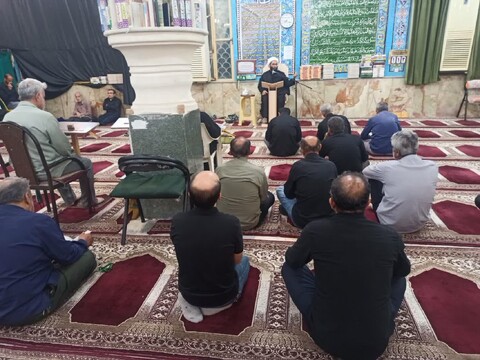 تصاویر/ سوگواری مردم برازجان در سالروز شهادت امام رضا(ع)