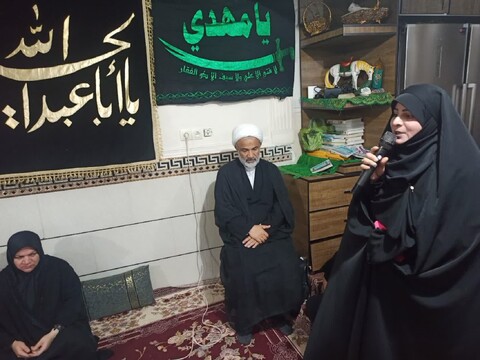 تصاویر/ سوگواری مردم برازجان در سالروز شهادت امام رضا(ع)