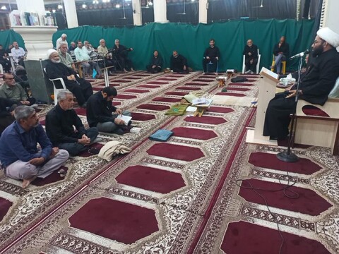 تصاویر/ سوگواری مردم برازجان در سالروز شهادت امام رضا(ع)