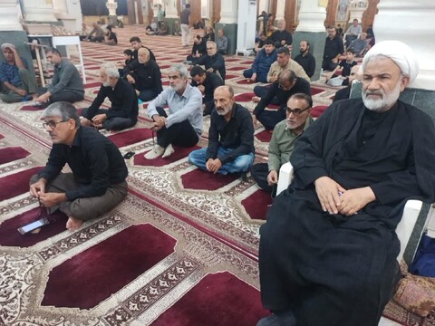 تصاویر/ سوگواری مردم برازجان در سالروز شهادت امام رضا(ع)