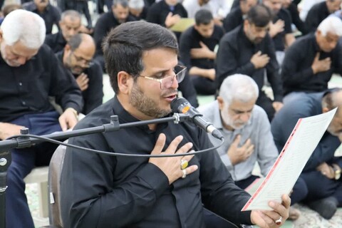 تصاویر/ مراسم عزاداری شهادت امام رضا(ع) در بندر دیّر