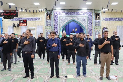 تصاویر/ مراسم عزاداری شهادت امام رضا(ع) در بندر دیّر