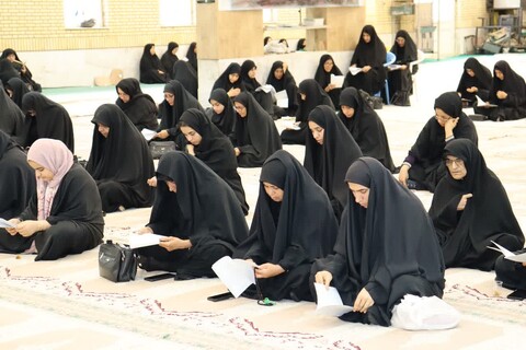 تصاویر/ مراسم عزاداری شهادت امام رضا(ع) در بندر دیّر