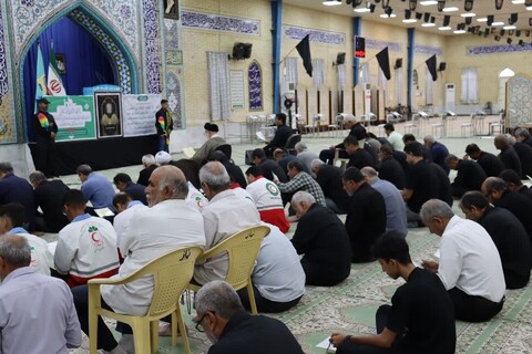 تصاویر/ مراسم عزاداری شهادت امام رضا(ع) در بندر دیّر