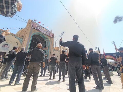 تصاویر/ عزداری شهادت امام  رضا(ع) در آستان مقدس علی ابن امام محمدباقر (ع)