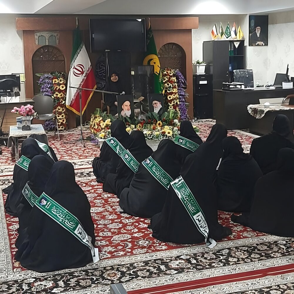 इमाम अली रज़ा (अ) की दरगाह में सेवा, रूहानी रुश्द और मारफ़त का ज़रिया है: अज़ीज़ फ़ातिमा रिज़वी