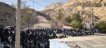 تصاویر/ مراسم پیاده روی بزرگ ولایت  مردم جم