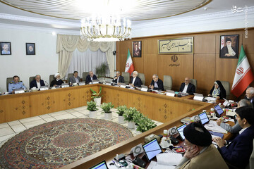 دولت قدردان حمایت‌های رهبر معظم انقلاب باشد