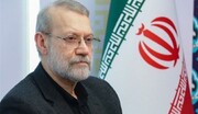 لاريجاني: الوحدة الوطنية ركيزة أساسية في قوة البلاد