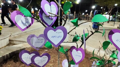 تصاویر/ اولین یادواره بانوان شهیده دیار کریمان