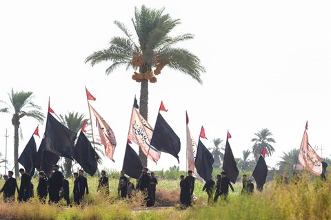الزائرون يسيرون نحو سامراء المقدسة