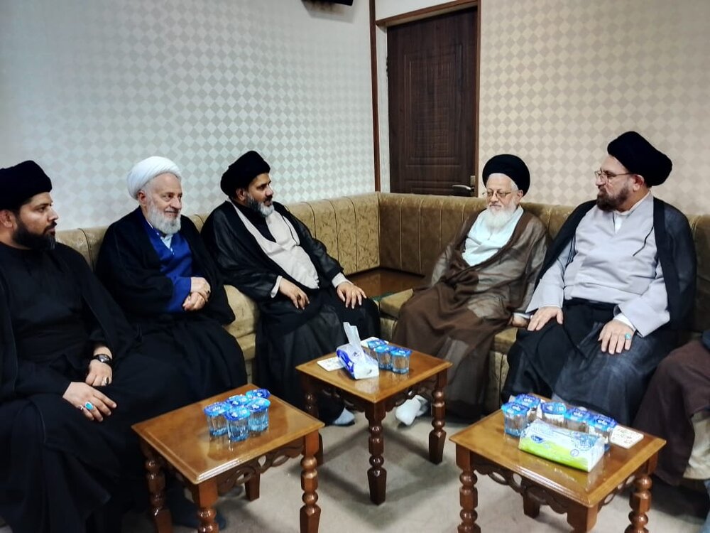 دیدار هیئت مجلس وحدت مسلمین پاکستان با نماینده رهبر معظم انقلاب اسلامی در نجف اشرف