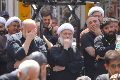 تصاویر / دسته عزاداری روز شهادت امام حسن عسکری (ع) با حضور آیت الله العظمی وحید خراسانی