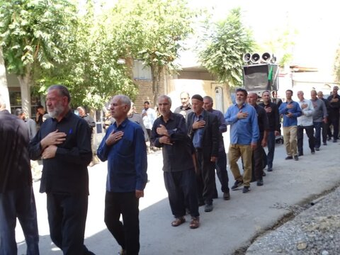 تصاویر/ دسته عزاداری به مناسبت شهادت امام حسن عسکری علیه السلام درشهرستان چهاربرج
