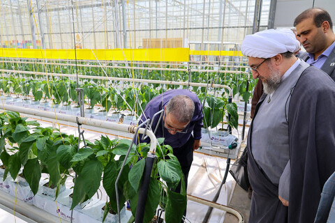 تصاویر | بازدید نماینده ولی فقیه در آذربایجان شرقی از پروژه های عملی و فرهنگی منطقه آزاد ارس