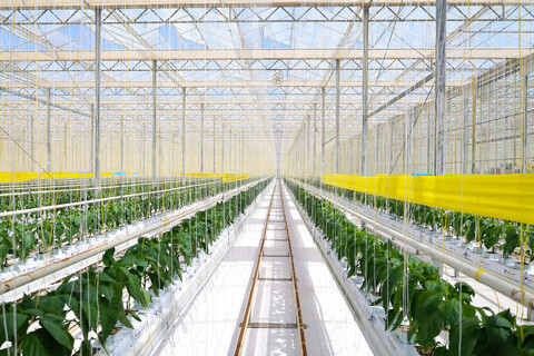 تصاویر | بازدید نماینده ولی فقیه در آذربایجان شرقی از پروژه های عملی و فرهنگی منطقه آزاد ارس