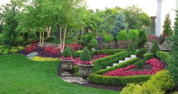 «گیاهان» چه فوائد و برکاتی برای زندگی انسان دارند؟