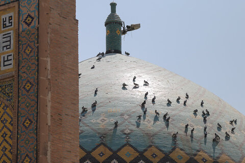 تصاویر / نماز جمعه قزوین  از نگاه دوربین