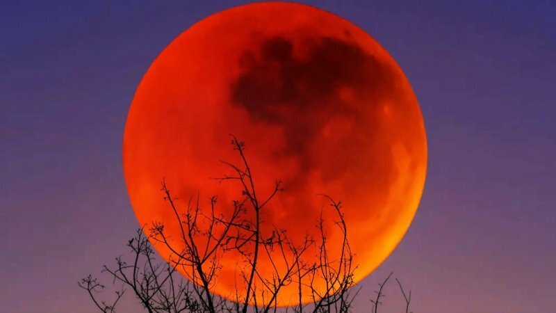 Total Lunar Eclipse to Grace Night Sky Tonight