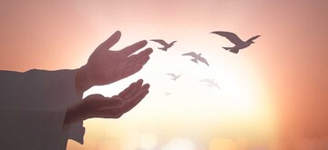 The Best and Most Beautiful Type of Modesty (Hayaʾ)