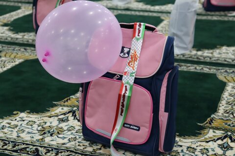 تصاویر/ پویش ایران عاشورایی در دیر