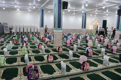 تصاویر/ پویش ایران عاشورایی در دیر