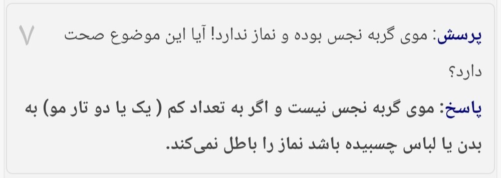 احکام شرعی | آیا موی گربه نجس است و نماز را باطل میکند؟