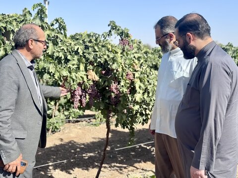 تصاویر / سفر معاون سازمان اوقاف و امورخیریه کشور به استان قزوین