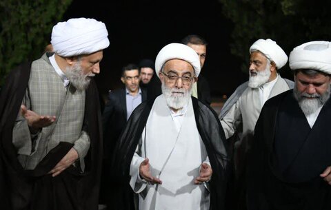 تصاویر|  استقبال از آیت‌الله شب‌زنده‌دار در فرودگاه شهید دستغیب شیراز