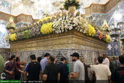 صور/ تزيين ضريح السيدة فاطمة المعصومة (ع) بالأزهار في ذكرى يوم وصولها إلى مدينة قم المقدسة