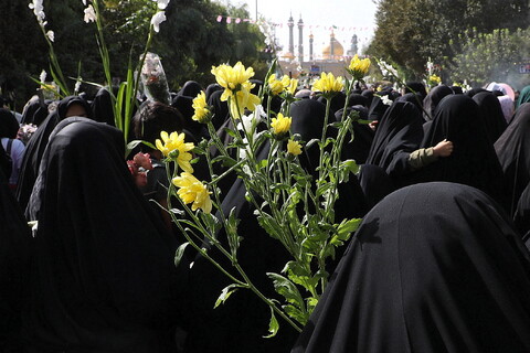 تصاویر/  آیین استقبال ورود کاروان نمادین حضرت فاطمه معصومه سلام‌الله علیها به شهر مقدس قم