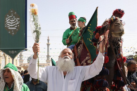 تصاویر/  آیین استقبال ورود کاروان نمادین حضرت فاطمه معصومه سلام‌الله علیها به شهر مقدس قم