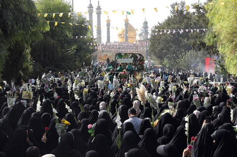 تصاویر/  آیین استقبال ورود کاروان نمادین حضرت فاطمه معصومه سلام‌الله علیها به شهر مقدس قم