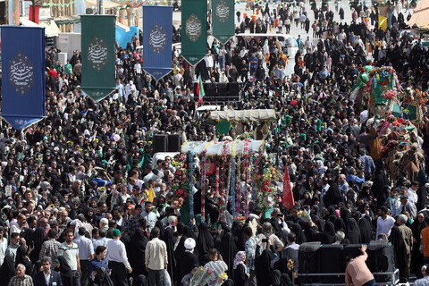 تصاویر/  آیین استقبال ورود کاروان نمادین حضرت فاطمه معصومه سلام‌الله علیها به شهر مقدس قم