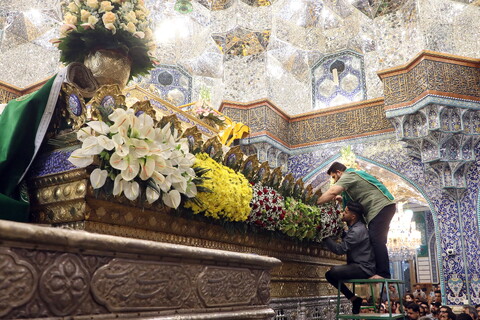 تصاویر/ گل آرایی ضریح مطهر حضرت فاطمه معصومه(س)