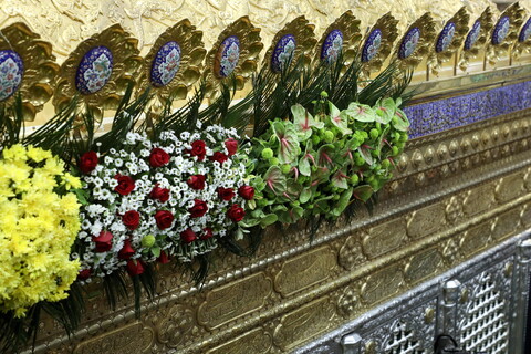 تصاویر/ گل آرایی ضریح مطهر حضرت فاطمه معصومه(س)