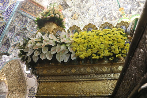 تصاویر/ گل آرایی ضریح مطهر حضرت فاطمه معصومه(س)