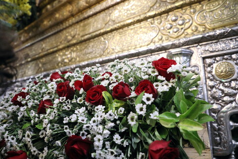 تصاویر/ گل آرایی ضریح مطهر حضرت فاطمه معصومه(س)