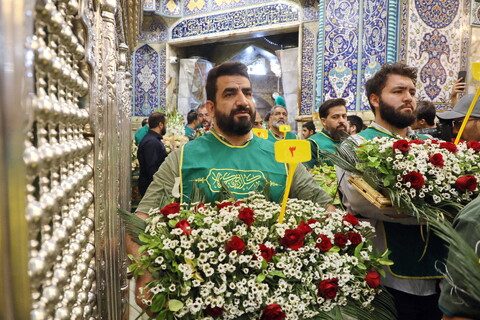 تصاویر/ گل آرایی ضریح مطهر حضرت فاطمه معصومه(س)