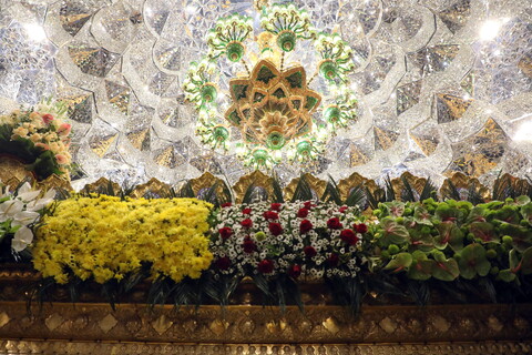 تصاویر/ گل آرایی ضریح مطهر حضرت فاطمه معصومه(س)