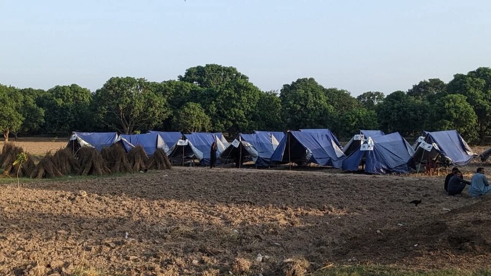 پنجاب کے سیلاب سے متاثرہ علاقوں میں ایم ڈبلیو ایم کی امدادی سرگرمیاں؛ علماء پیش پیش