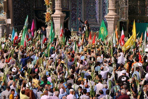 Imágenes / El ambiente del Santuario de Hazrat Masuma (P) en el aniversario de la llegada de la Dama de la Generosidad a la sagrada ciudad de Qom